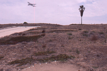 1984 – Los Angeles Airport Olympics exhibition